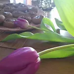 Picchio Bed and Breakfast *