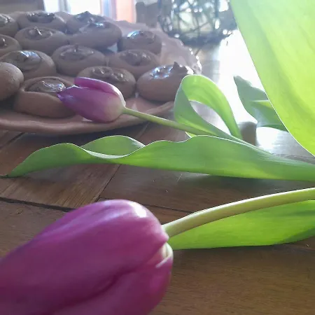 Picchio Bed and Breakfast *