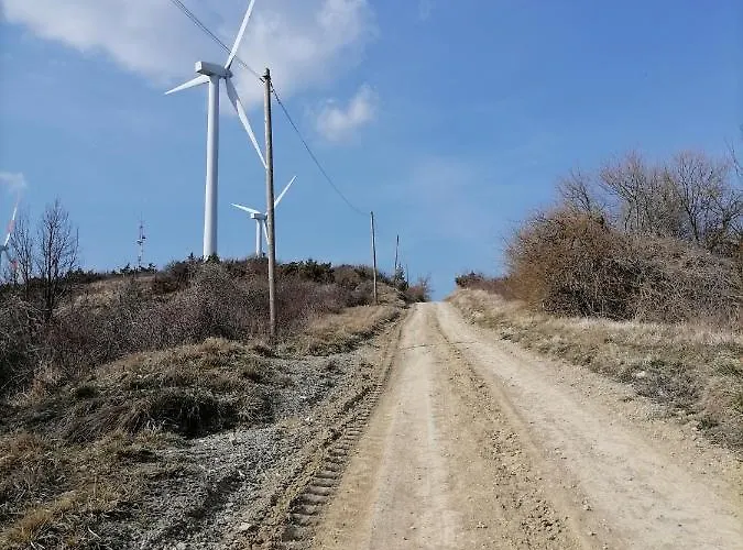 Picchio Bed & Breakfast