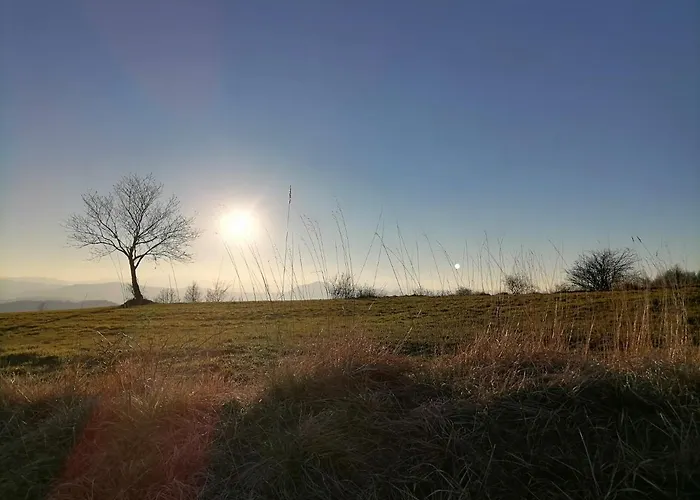Picchio 住宿加早餐酒店 *