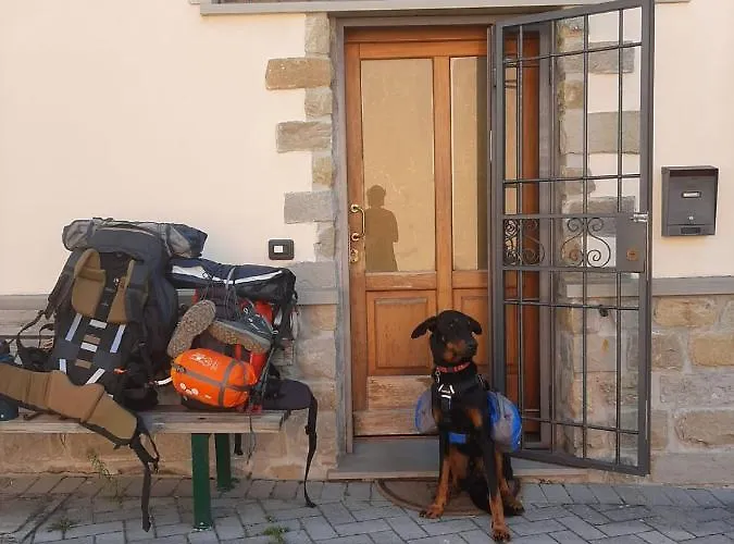 住宿加早餐酒店 Picchio *