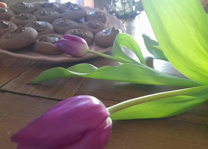 Picchio 住宿加早餐酒店 *